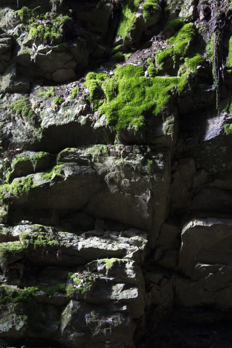 cascade-verte_Avril2016_Auvergne-e1559324821987.jpg